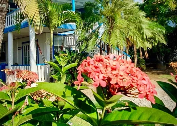 Accommodations Utila Garden Room