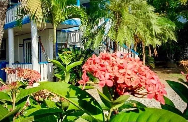 Accommodations Utila Garden Room